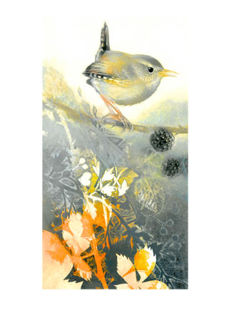 Wren in Autumn Wren in Autumn
