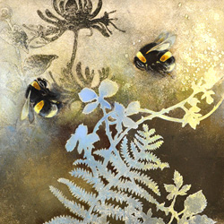 bumblebees on honeysuckle l