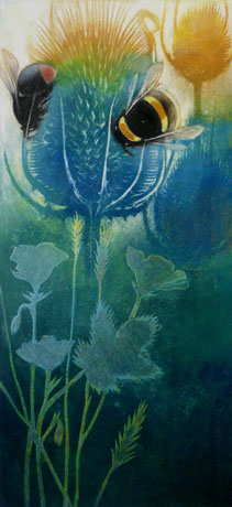 Meadow Teasels Meadow Teasels