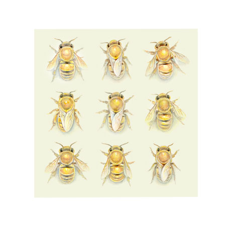 Honeybees Honeybees