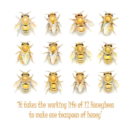 Honeybees and Text