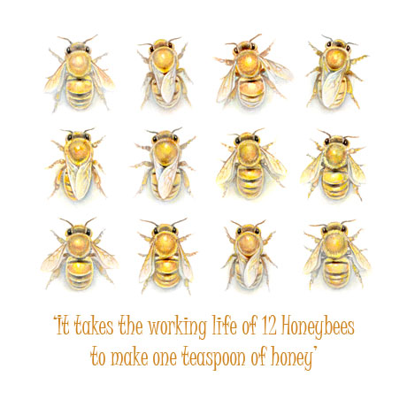 Honeybees and Text Honeybees and Text