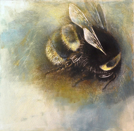 The Last Bumblebee The Last Bumblebee