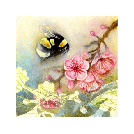 Bumblebee on Spring Blossom Bumblebee on Spring Blossom