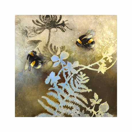 Bumblebees on Honeysuckle