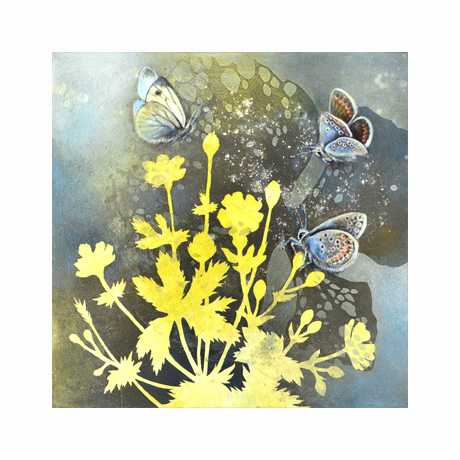 Meadow Light Meadow Light