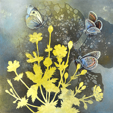 Meadow Light Meadow Light