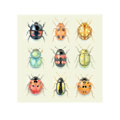 9 Beetles