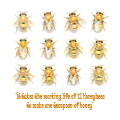 Honeybees and Text