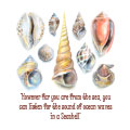 Seashells and Text